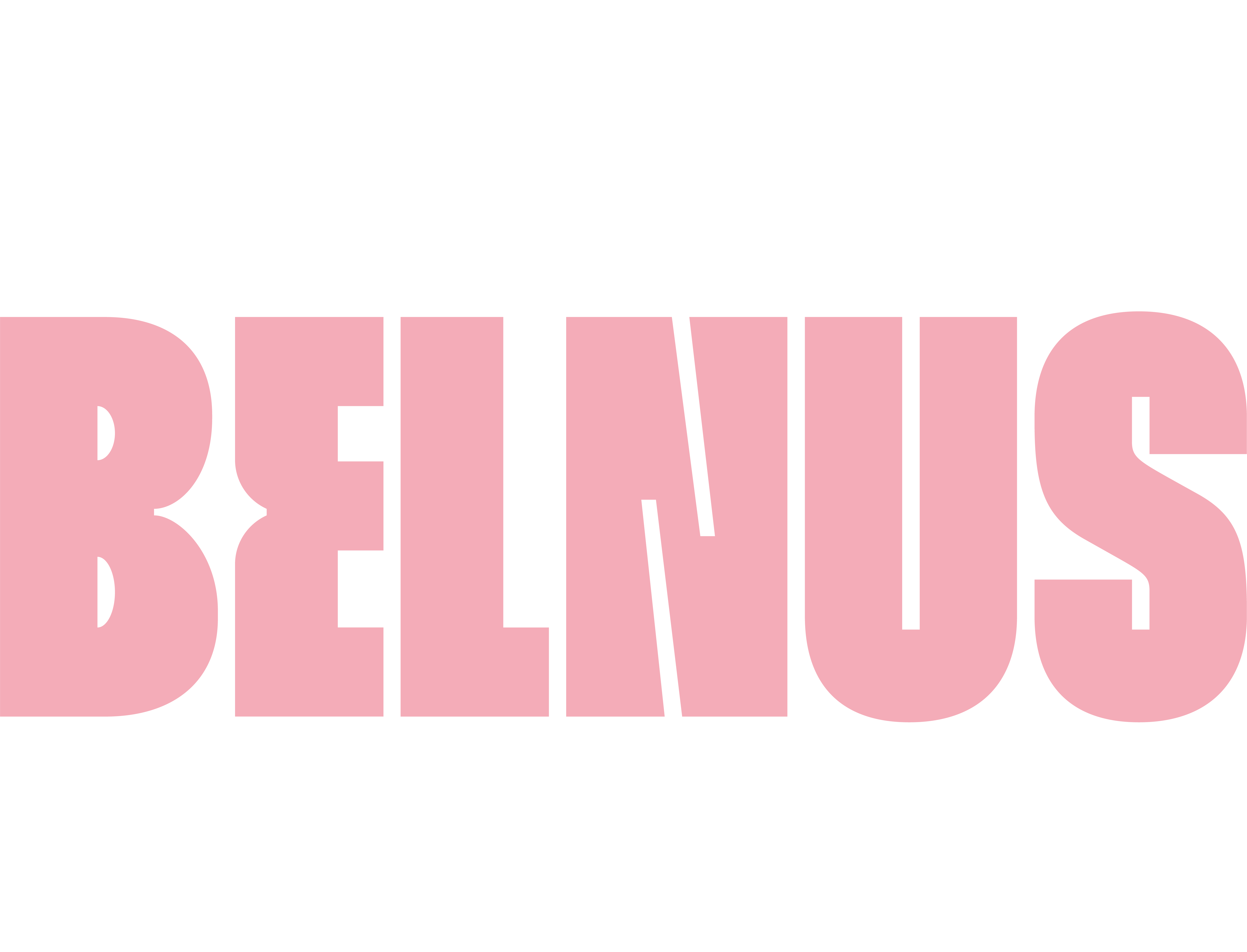 Logo de BelNus